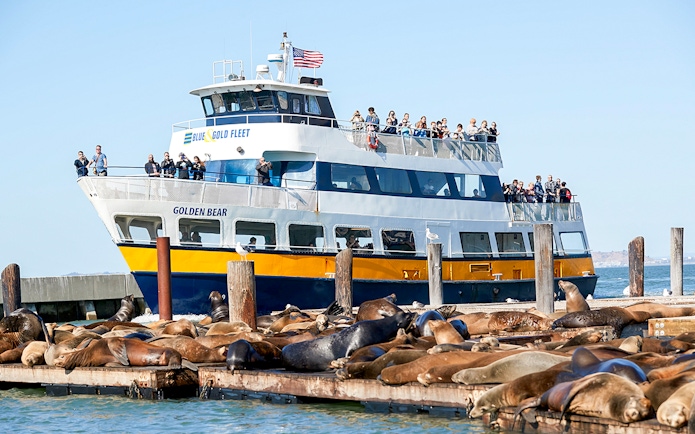 Tour boat near sea lions on San Francisco Bay during Alcatraz cruise.