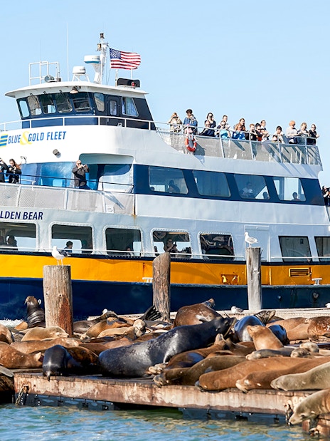 Tour boat near sea lions on San Francisco Bay during Alcatraz cruise.
