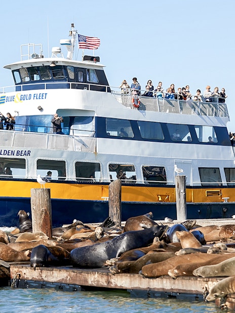 Tour boat near sea lions on San Francisco Bay during Alcatraz cruise.