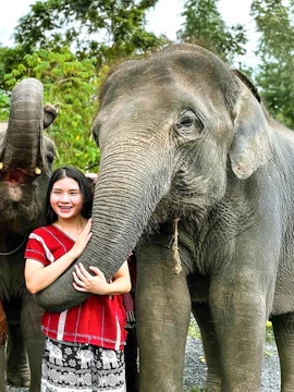 Person with elephants at Kerchor Elephant Family in Phuket.