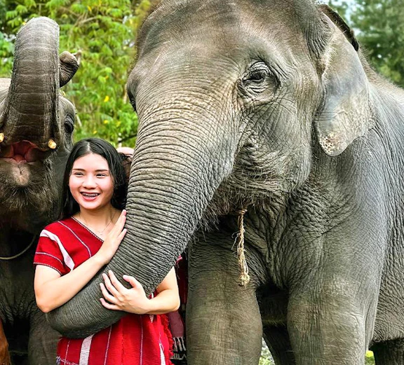 Person with elephants at Kerchor Elephant Family in Phuket.
