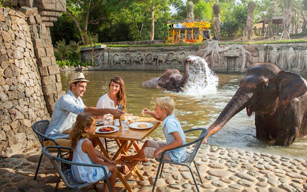 Tourists enjoying breakfast near elephants at Bali Zoo.