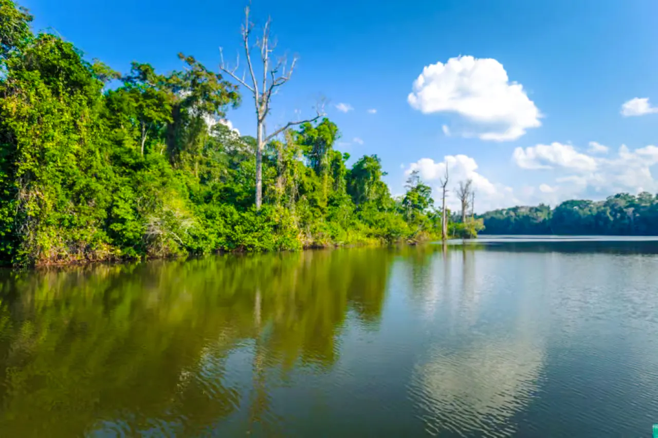 from cusco: 5-day manu national park amazon wildlife tour-6