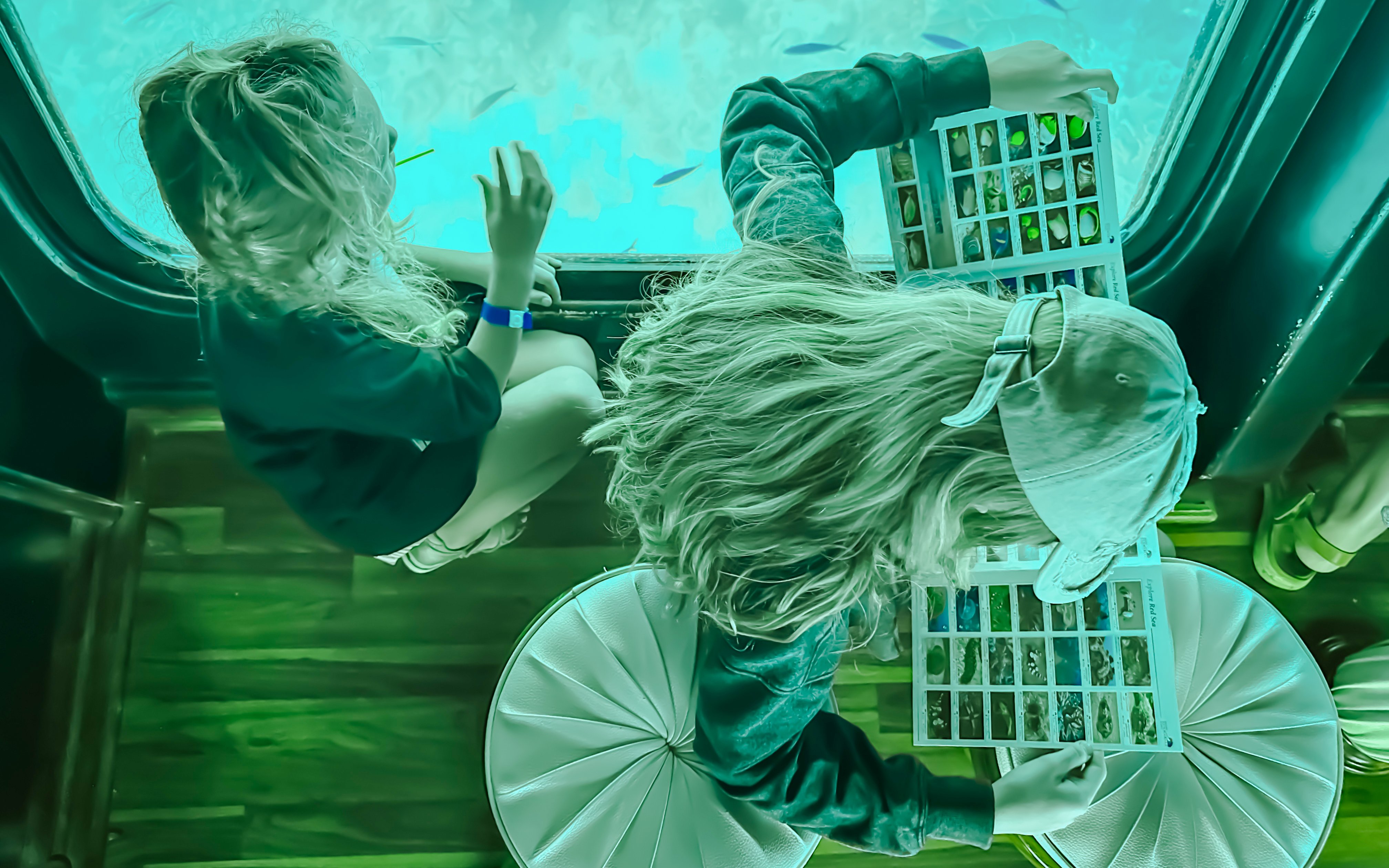 Woman identifying fish using a book on Royal Seascope Submarine, Hurghada.