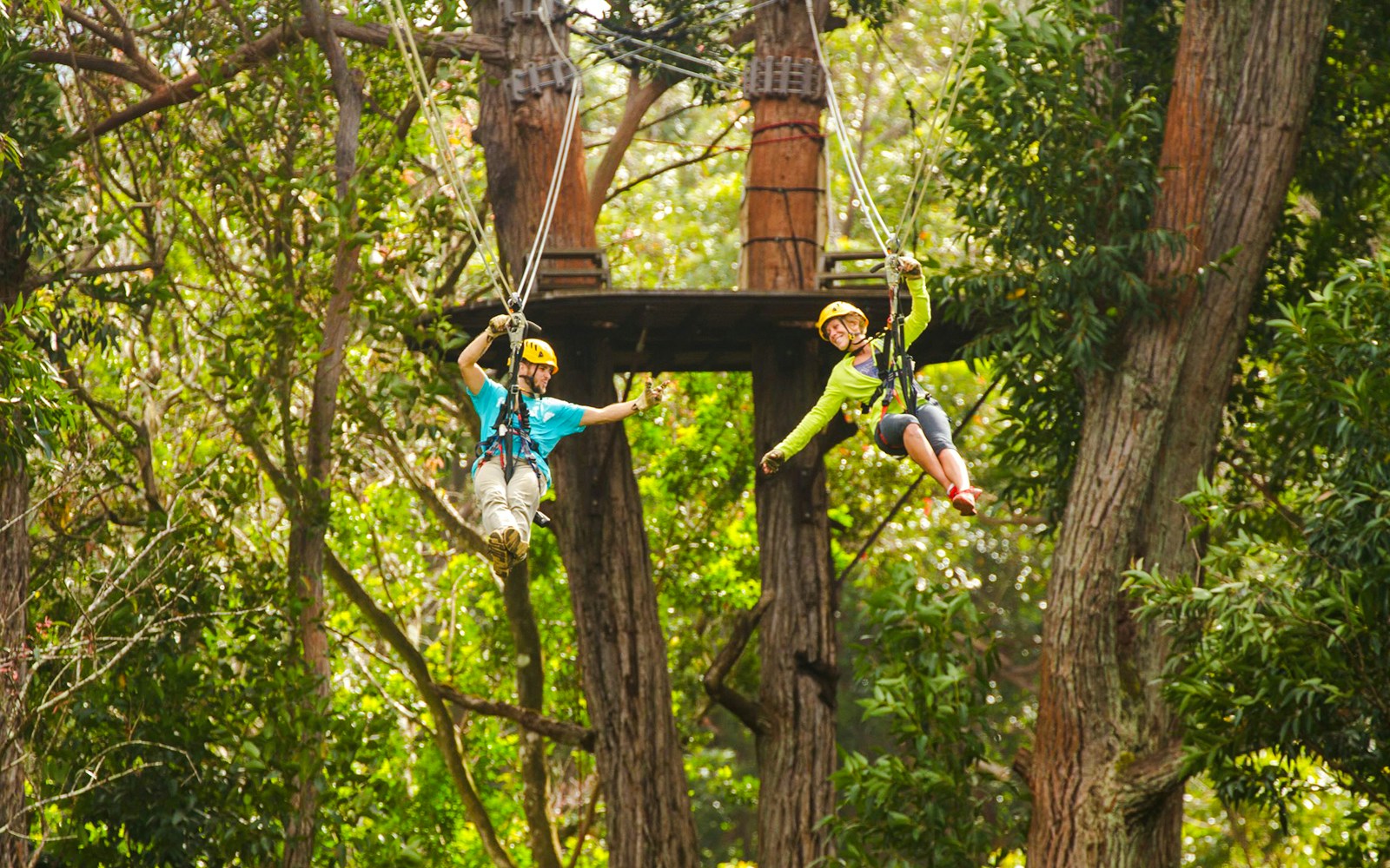 Guests zip lining through trees on Kohala Canopy Adventure in Hawaii.