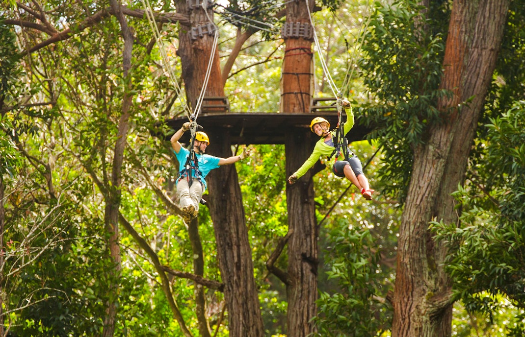 Guests zip lining through trees on Kohala Canopy Adventure in Hawaii.