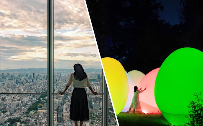 Harukas 300 Observatory view and teamLab Botanical Garden light display in Osaka.
