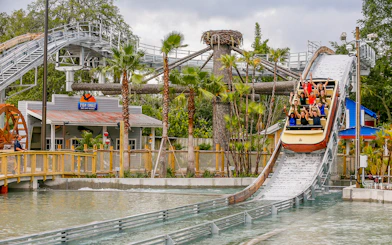 People enjoying a log flume ride at an Orlando theme park, part of the Orlando Explorer Pass.