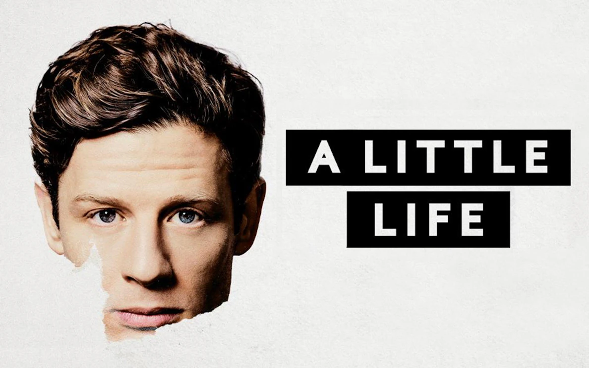 Half of a man's face with "A Little Life" text on a white background.