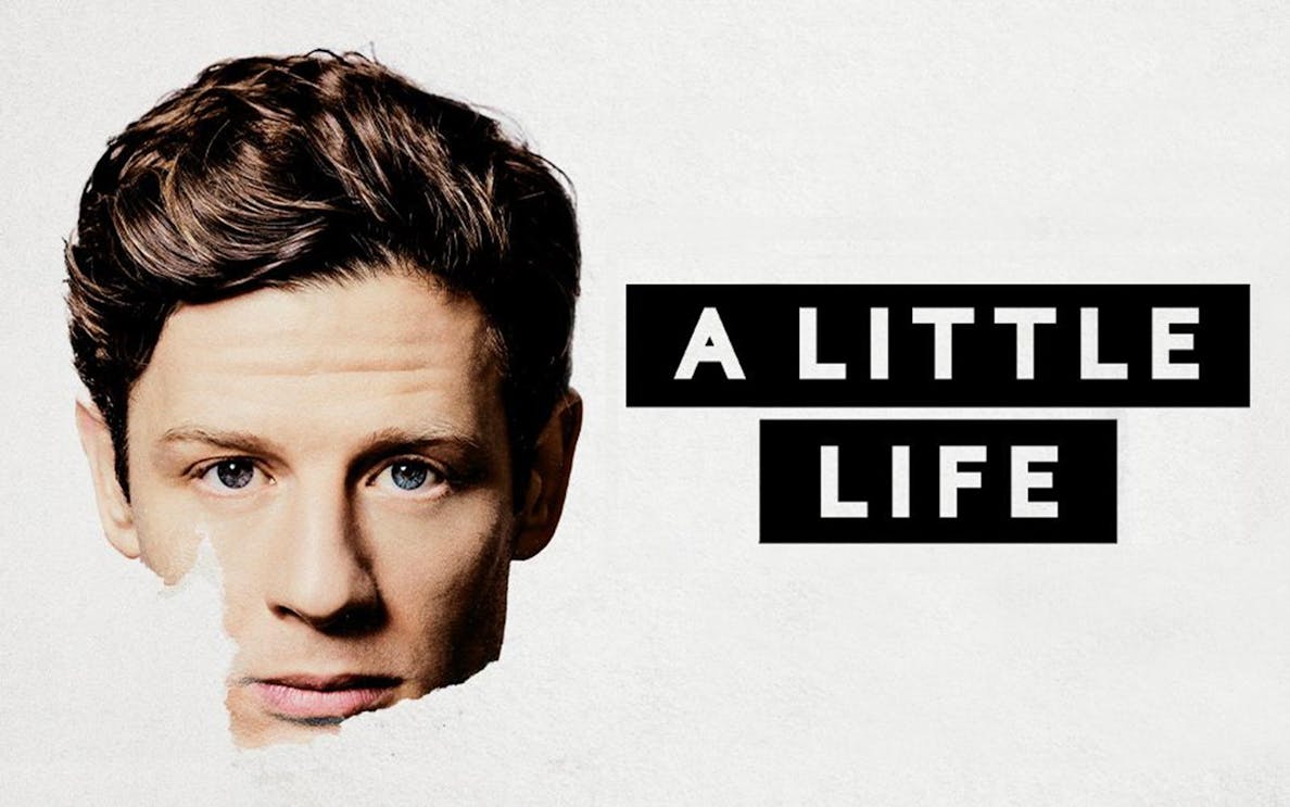 Half of a man's face with "A Little Life" text on a white background.