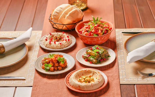 Arabian dishes including hummus, stuffed grape leaves, and salad at The Nomad Garden desert dining.