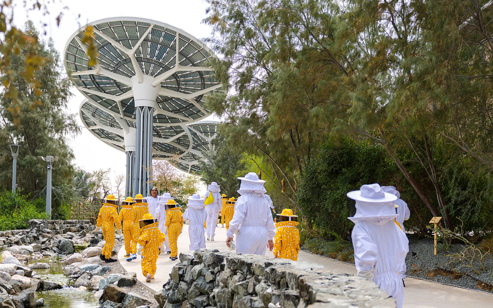 Beekeeping tour at Terra, Expo City Dubai with participants in protective suits under solar panels.