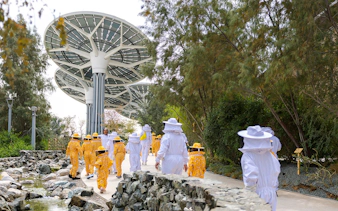 Beekeeping tour at Terra, Expo City Dubai with participants in protective suits under solar panels.