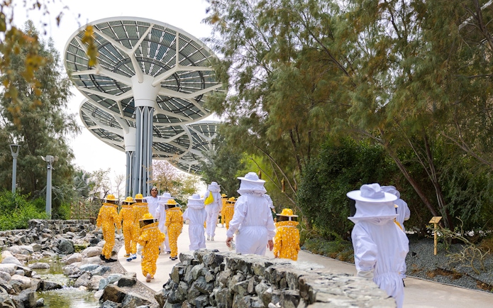Beekeeping tour at Terra, Expo City Dubai with participants in protective suits under solar panels.