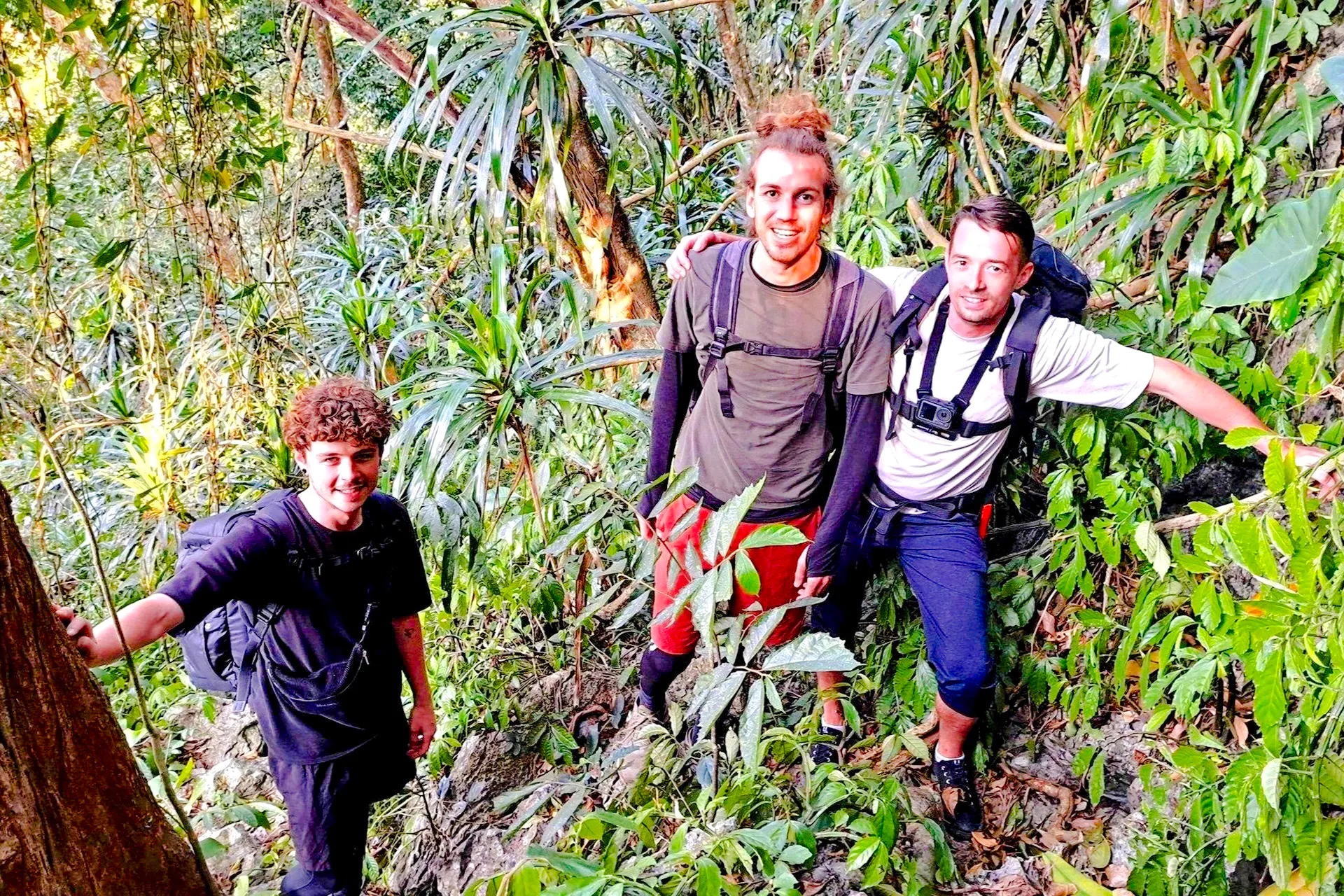 Hikers exploring lush jungle trails in Cuc Phuong National Park, Vietnam.