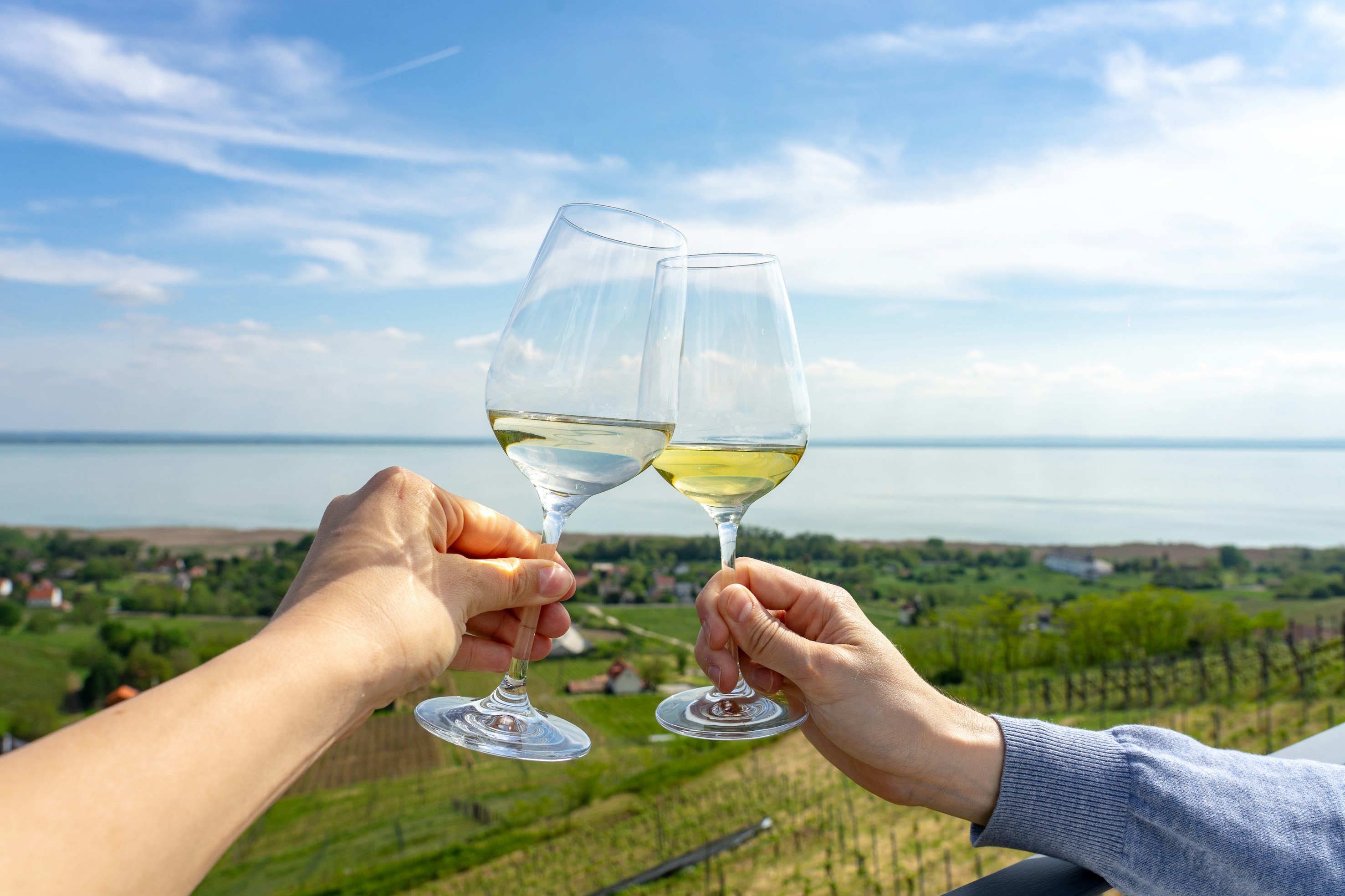 Two people toasting with wine glasses overlooking a vineyard and lake.