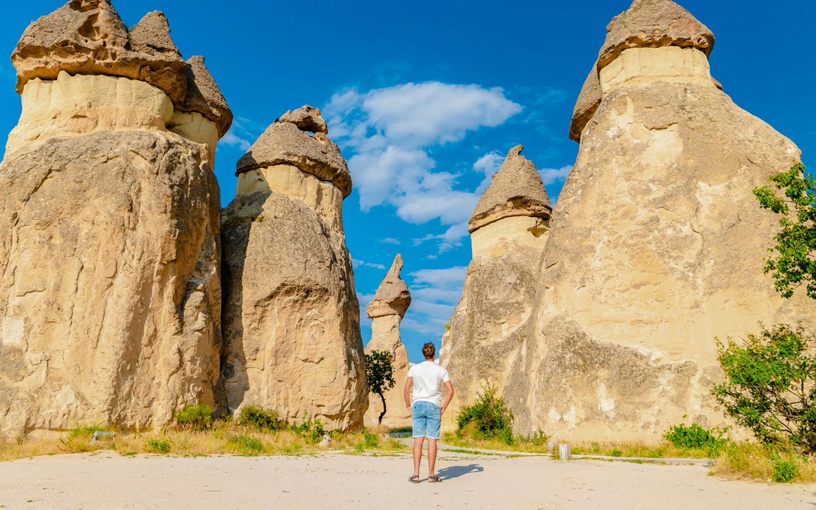 Person standing among fairy chimneys in Pasabag Monks Valley, Cappadocia.