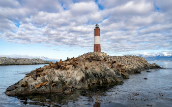 Sea lions resting on rocks near Martillo Island lighthouse in the Beagle Channel, Ushuaia, Argentina.