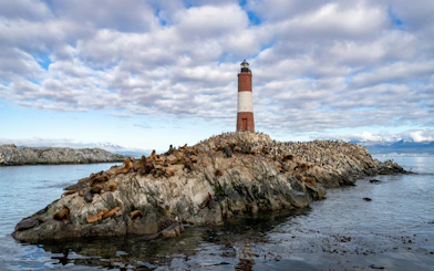 Sea lions resting on rocks near Martillo Island lighthouse in the Beagle Channel, Ushuaia, Argentina.