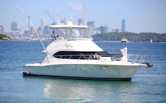 Luxury yacht on Sydney Harbour with city skyline in the background.