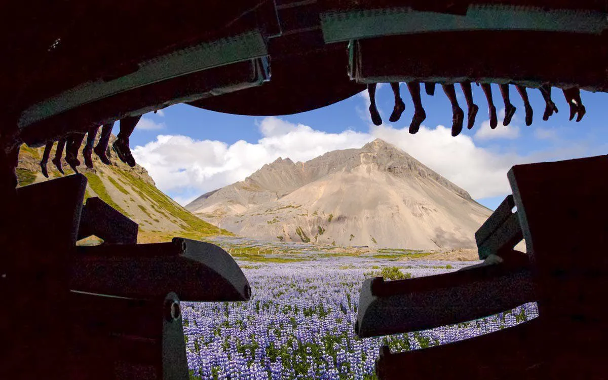 Guests experiencing Flyover Iceland with mountain and lupine field view.