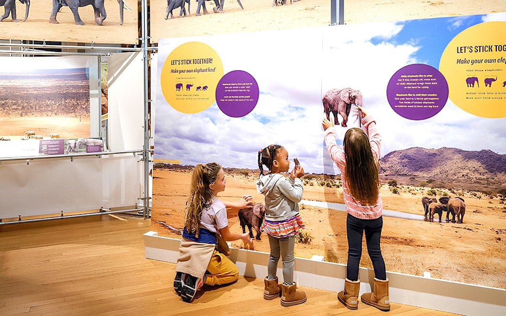 Children interacting with an elephant exhibit at the American Museum of Natural History.