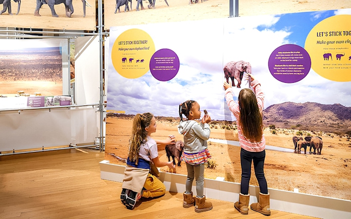 Children interacting with an elephant exhibit at the American Museum of Natural History.