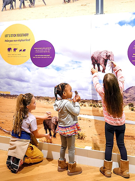 Children interacting with an elephant exhibit at the American Museum of Natural History.