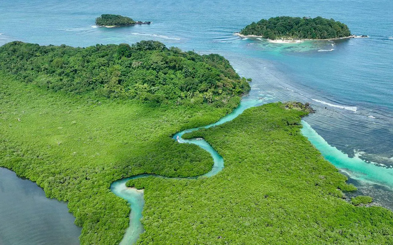 Aerial view of Isla Mamey with lush greenery and turquoise waters, Panama.