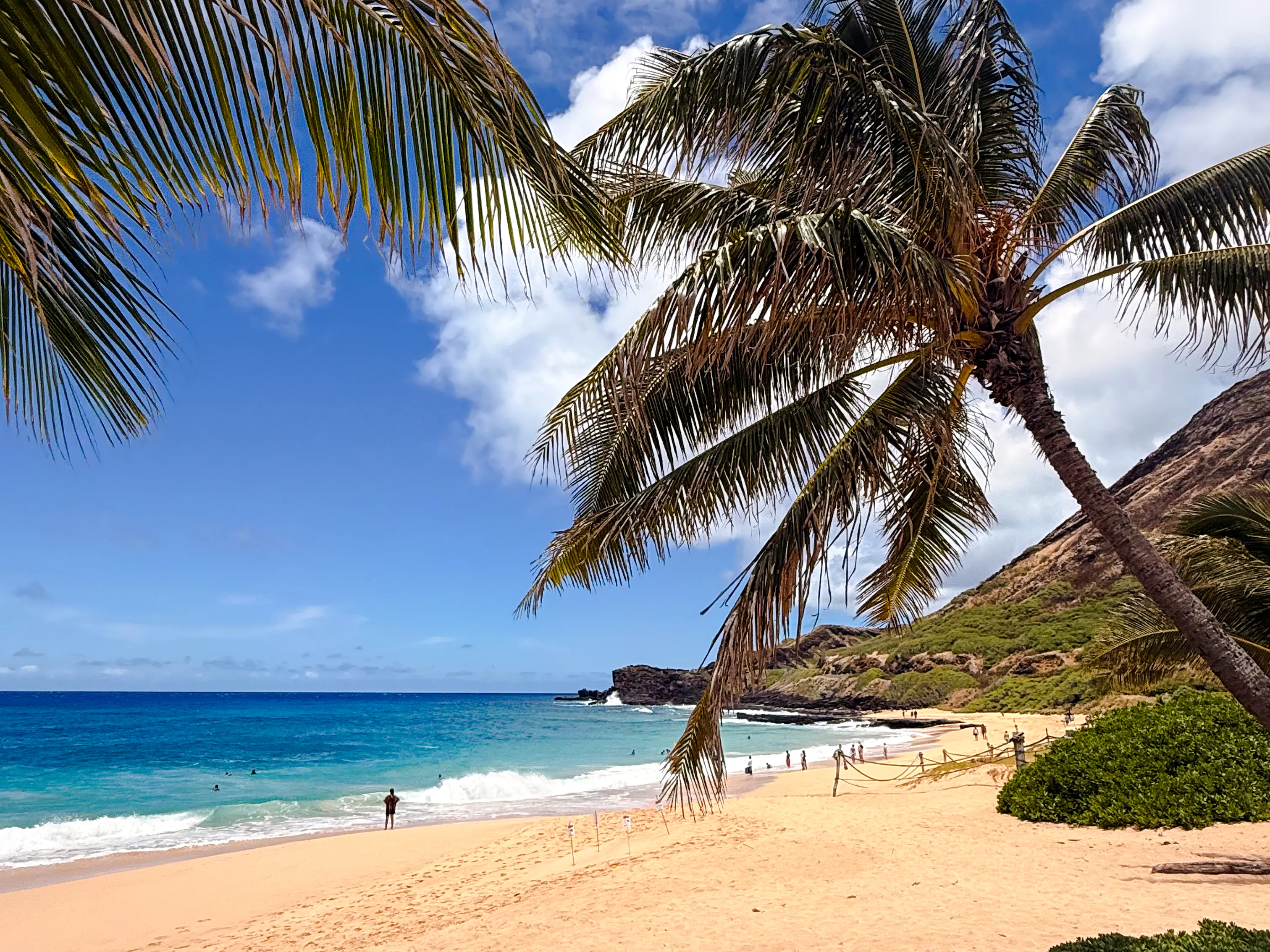 oahu: circle island tour with north shore, dole & byodo-in-1