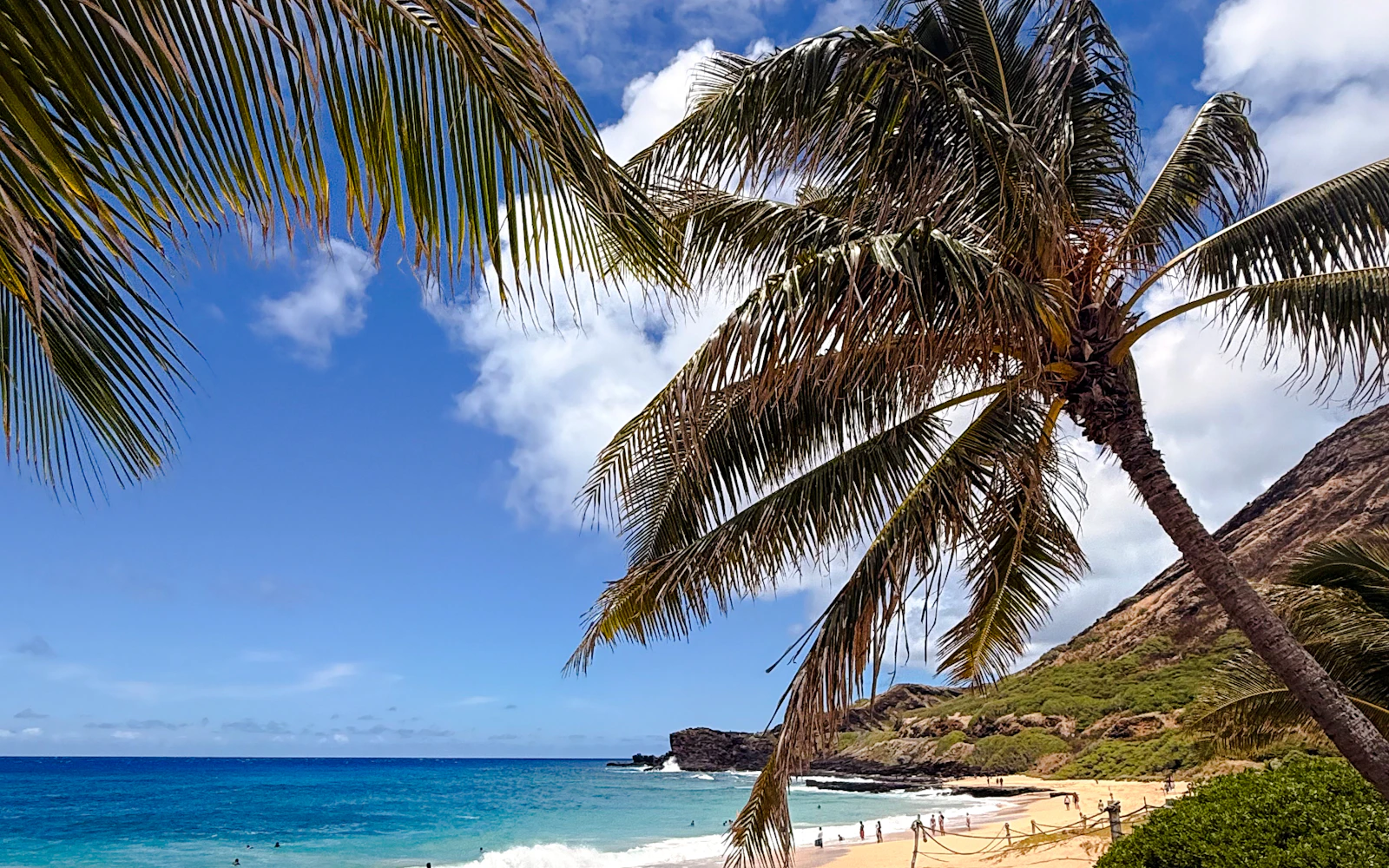Oahu Circle Island Tour with North Shore, Byodo-In Temple Admission and Dole Plantation (Product 54837)