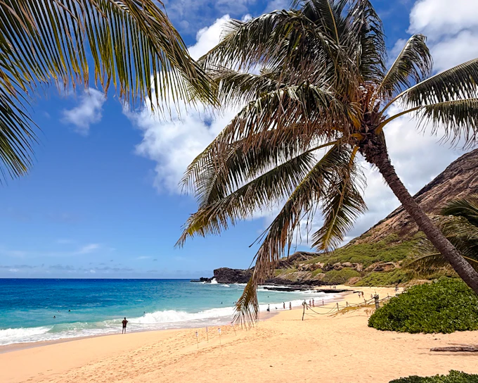 Oahu Circle Island Tour with North Shore, Byodo-In Temple Admission and Dole Plantation (Product 54837)