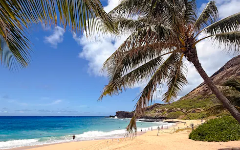 oahu: circle island tour with north shore, dole & byodo-in-1
