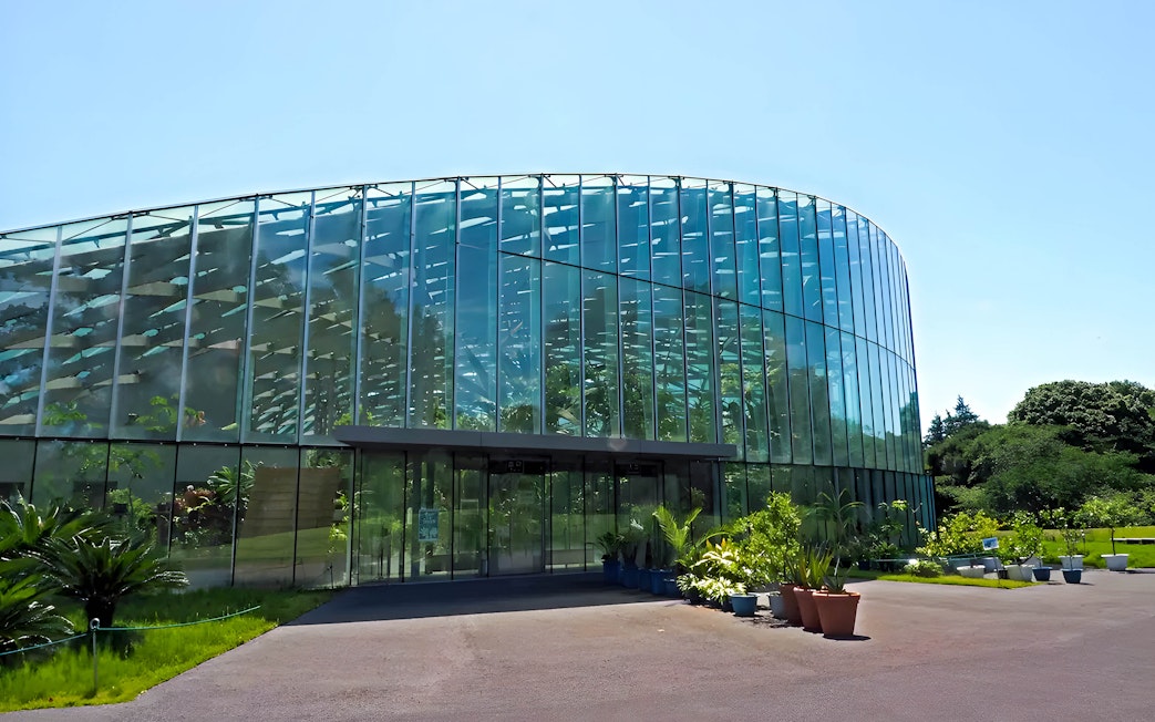 Glass conservatory at Shinjuku Gyoen, Tokyo, surrounded by greenery.