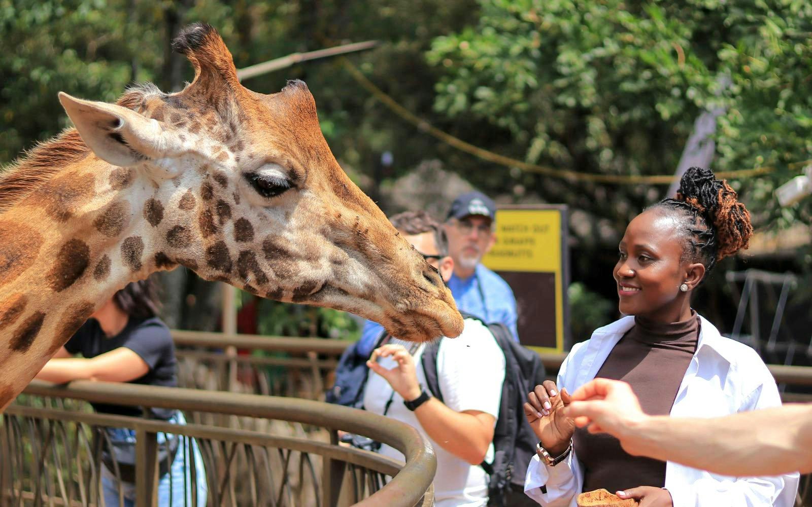 People feeding a giraffe at Giraffe Centre, Nairobi.