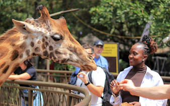 People feeding a giraffe at Giraffe Centre, Nairobi.