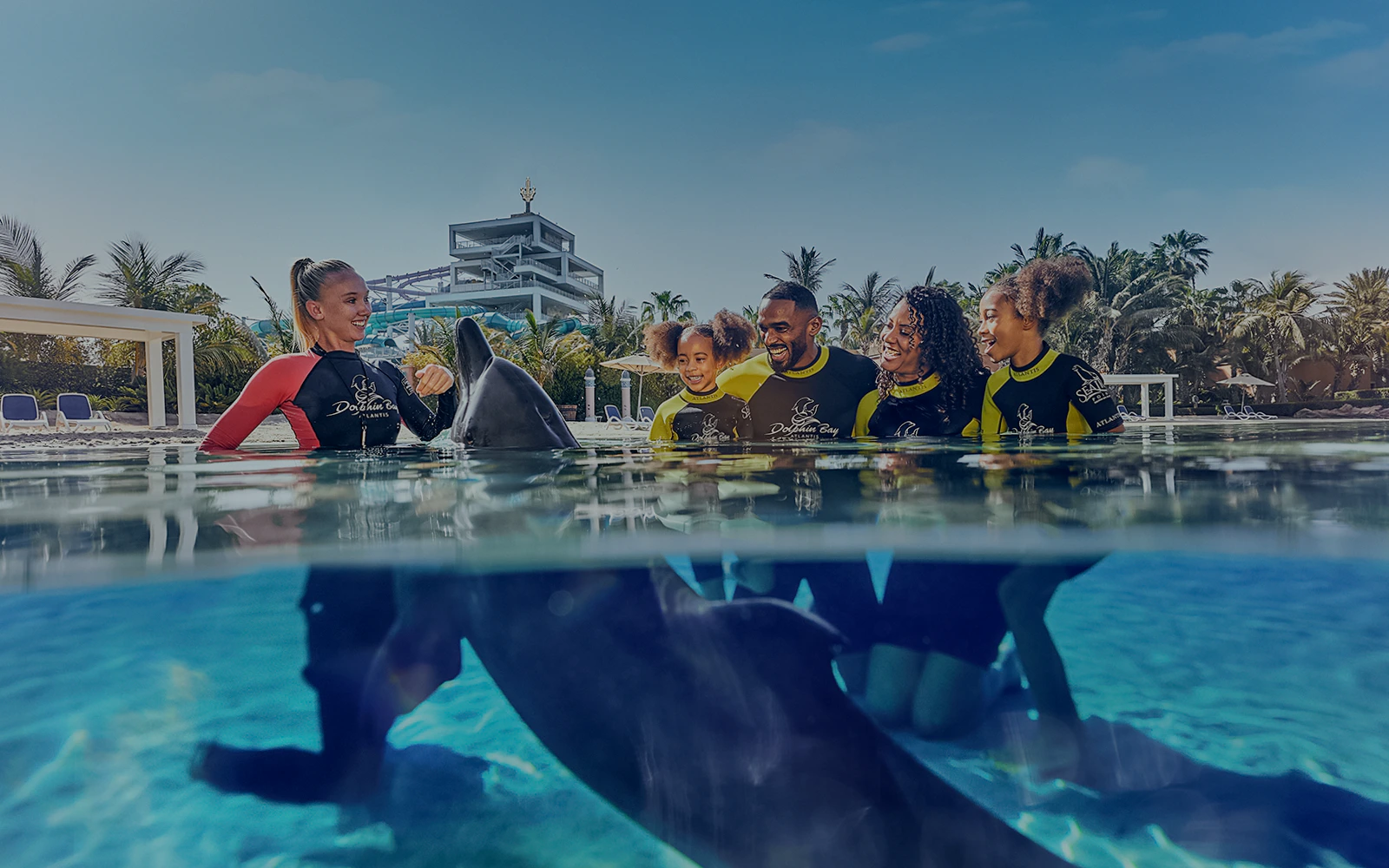Family interacting with a dolphin at Aquaventure Waterpark, Dubai.