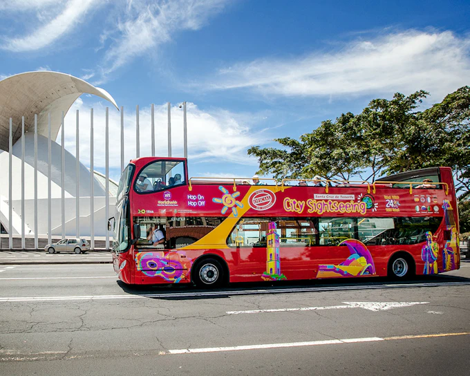 City Sightseeing: Santa Cruz de Tenerife Hop-on Hop-off Bus Tour