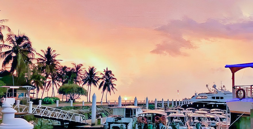 Book Schynige Platte Tickets