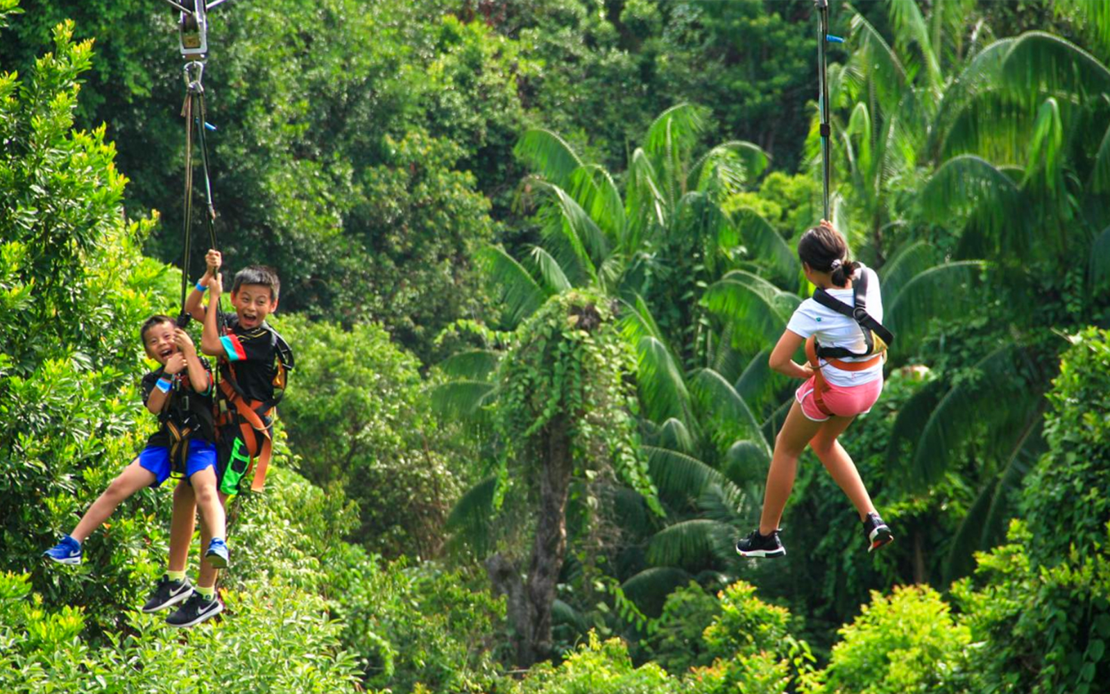 Children ziplining through lush greenery in Singapore.