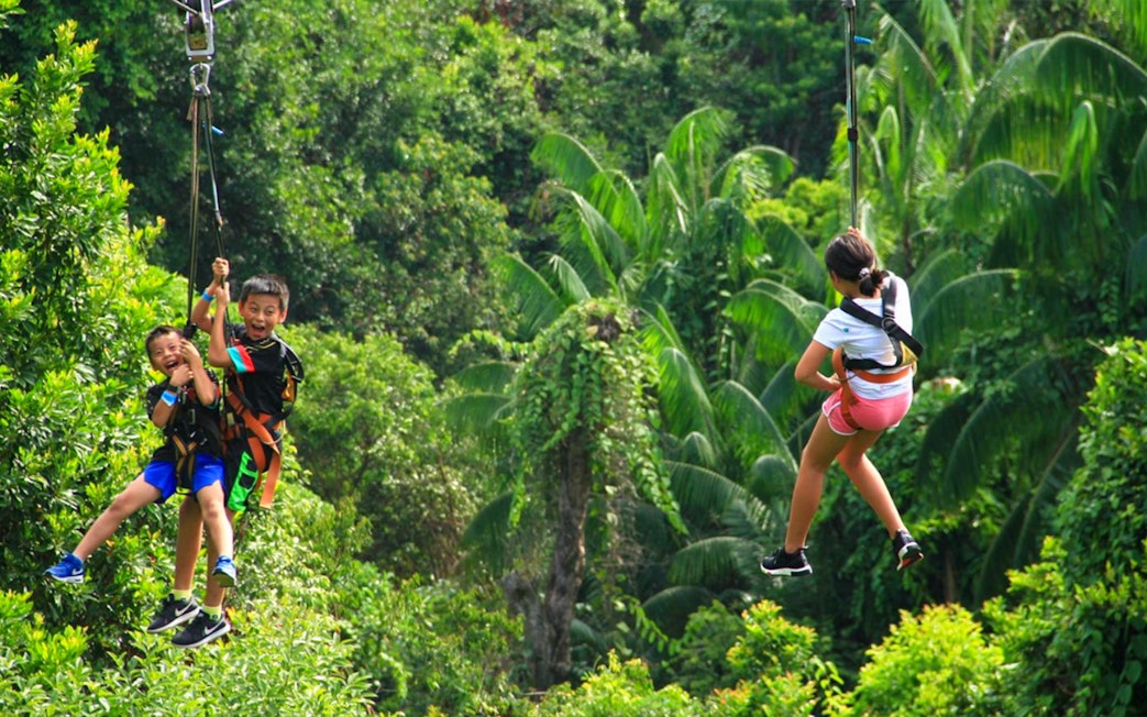 Children ziplining through lush greenery in Singapore.