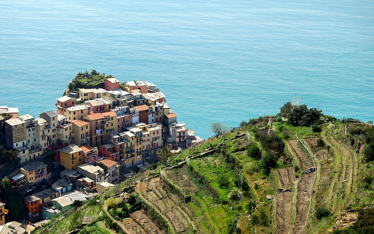 Colorful houses and terraced vineyards in Manarola, Cinque Terre, overlooking the sea.