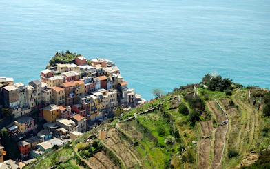 Colorful houses and terraced vineyards in Manarola, Cinque Terre, overlooking the sea.