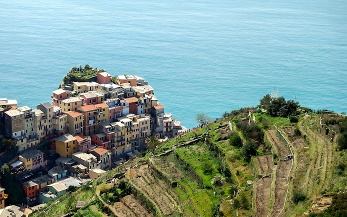 Colorful houses and terraced vineyards in Manarola, Cinque Terre, overlooking the sea.