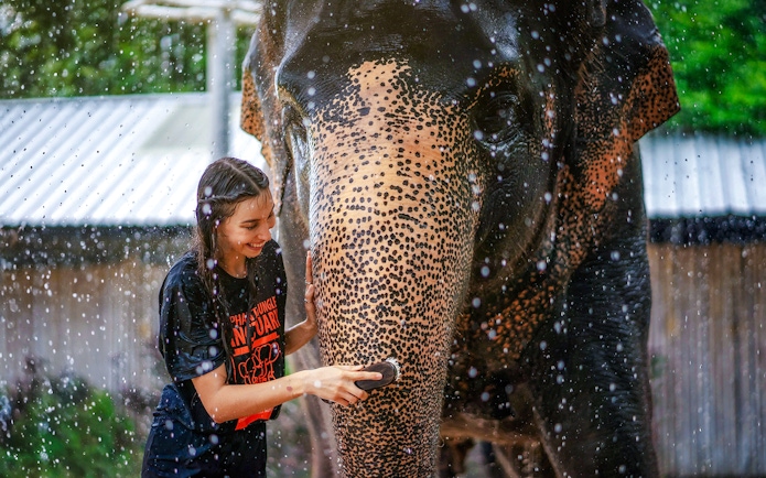 Woman washing elephant at Elephant Jungle Sanctuary, Phuket, Thailand.