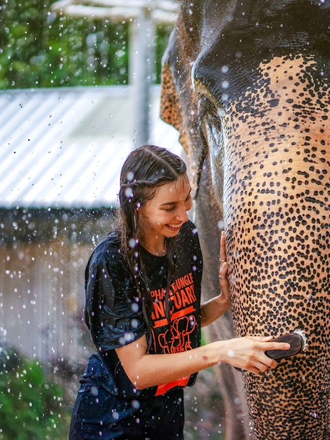 Woman washing elephant at Elephant Jungle Sanctuary, Phuket, Thailand.