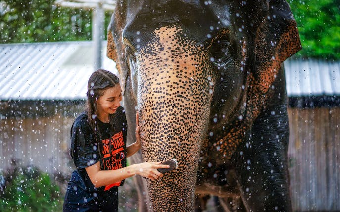 Woman washing elephant at Elephant Jungle Sanctuary, Phuket, Thailand.