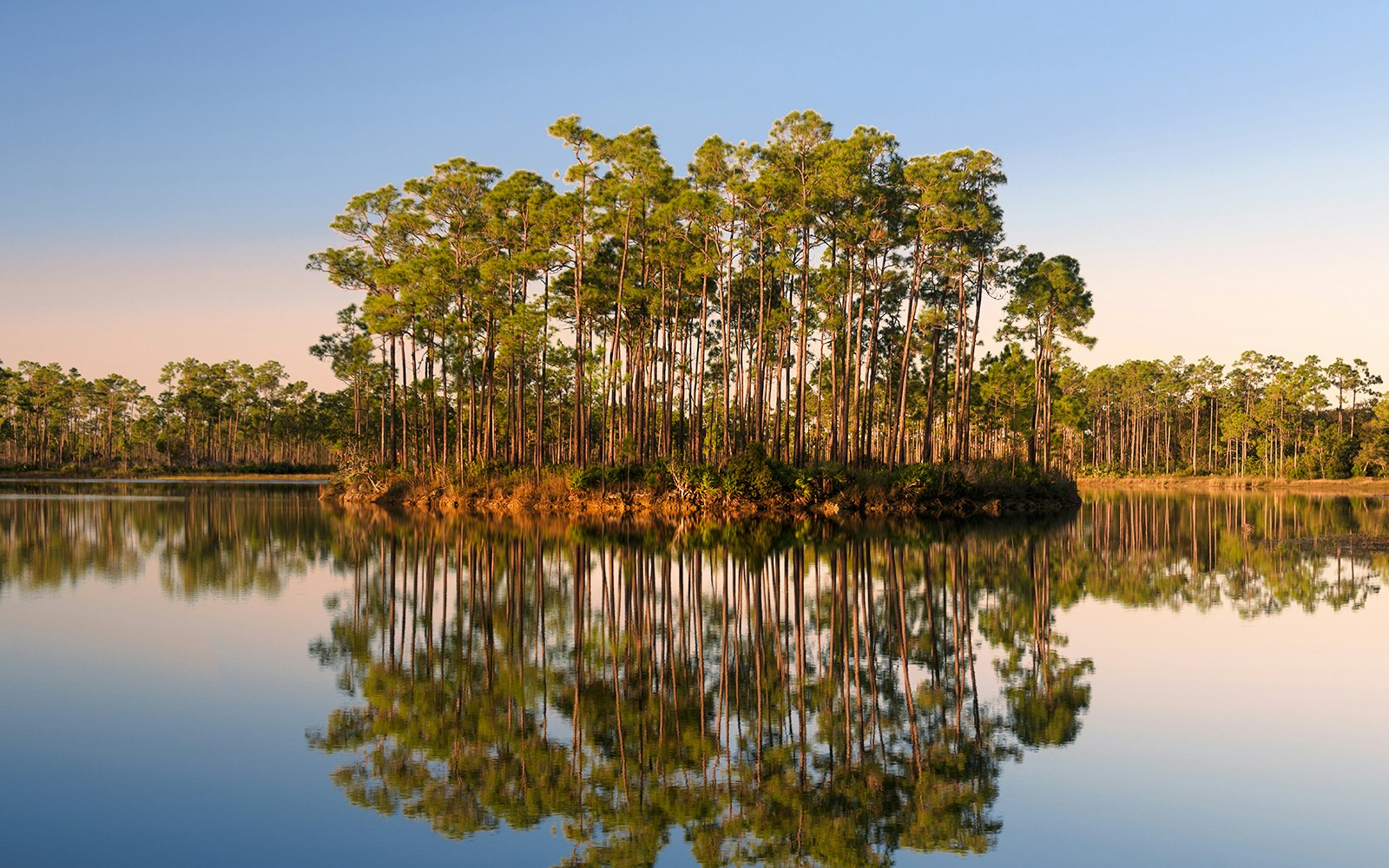 Cypress domes reflected in calm water, Everglades National Park.