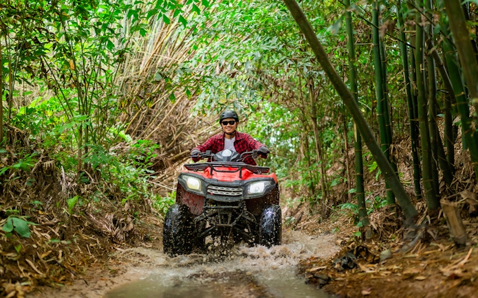 ATV rider navigating a muddy trail through dense bamboo forest.