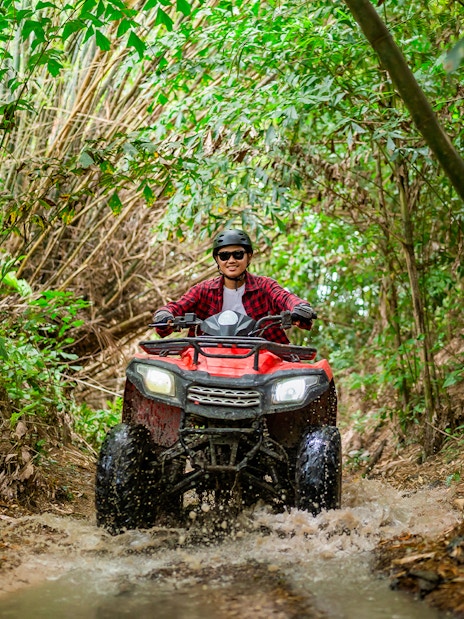 ATV rider navigating a muddy trail through dense bamboo forest.